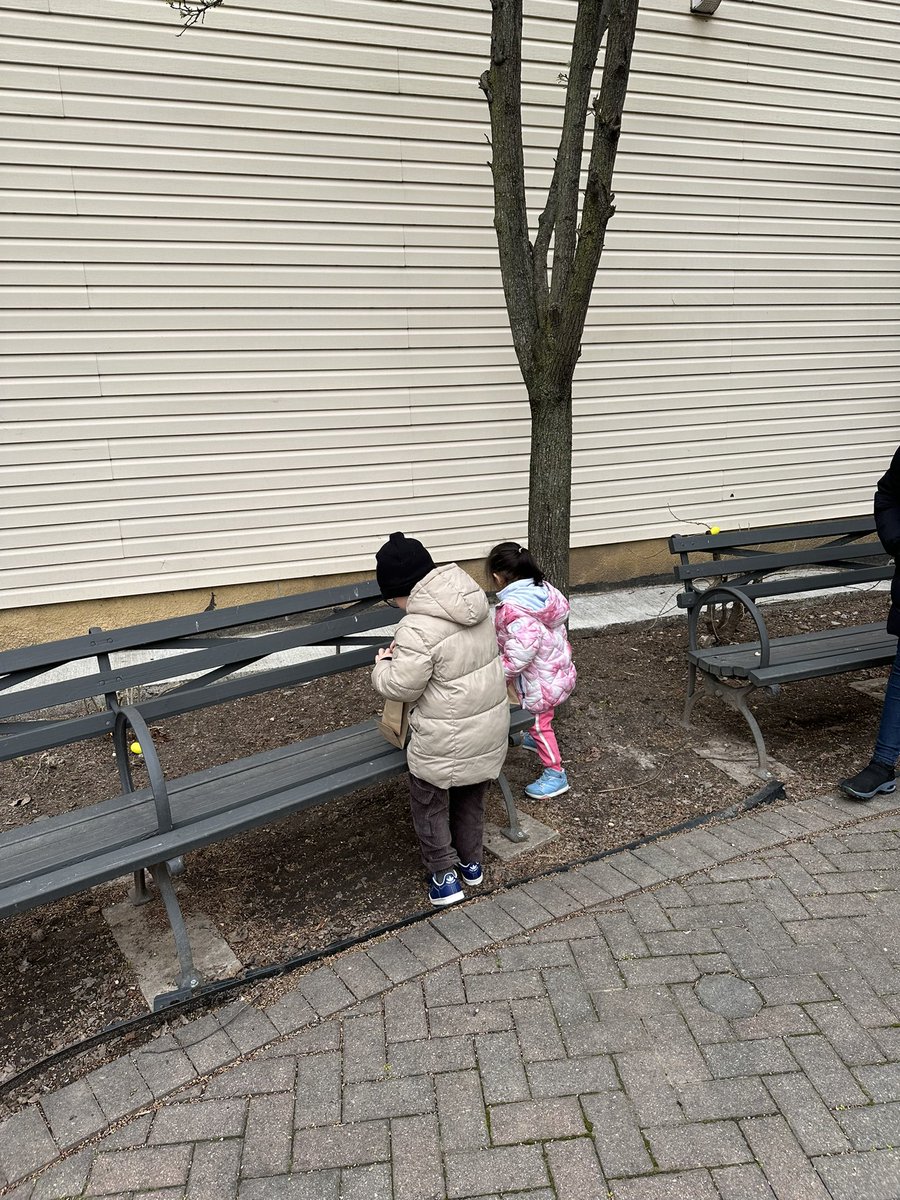 Mrs. Diana Lucci tweet media