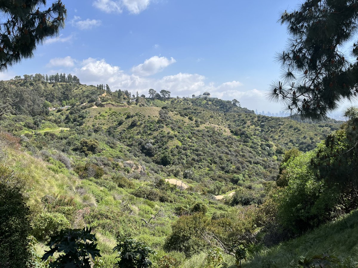 devilwaitss's tweet image. in california! i’ll be back saturday/sunday 🤠