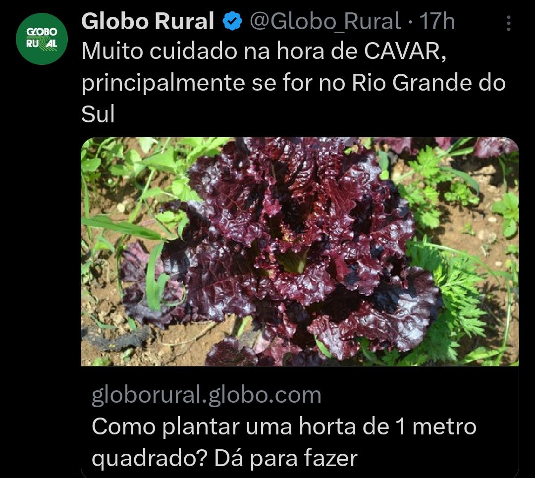 MelhordoMundoPH's tweet image. globo rural zoando/referenciando times do futebol brasileiro | a thread