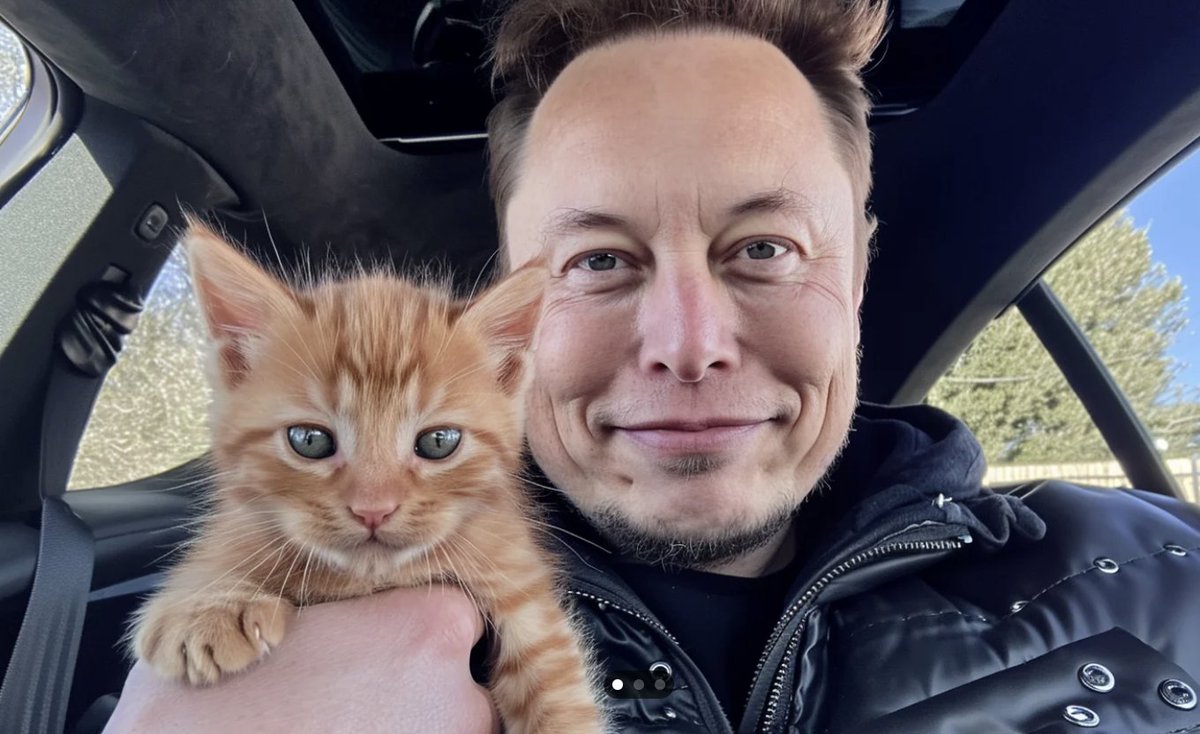 Last month, <a href="/catcoin/">CatCoin</a> was touched on the arm by Elon Musk, Founder of <a href="/Tesla/">Tesla</a> 🤑
