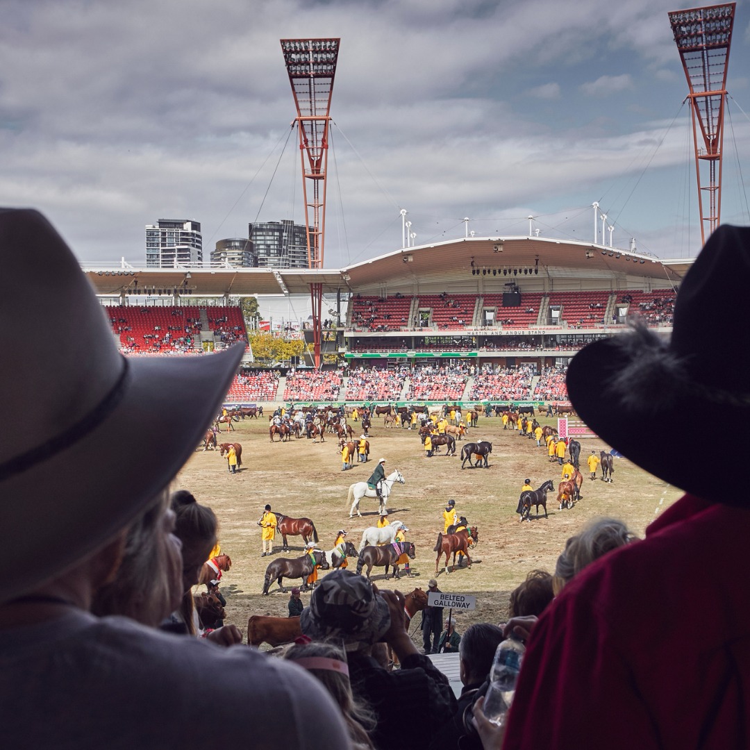 The first few days of the 2024 Sydney Royal Easter Show have been an absolute blast, we can’t wait to welcome everyone today for day 6! 🗓 Ends Tuesday 2 April 📍 Sydney Showground 🎟️ eastershow.com.au Tickets for the remaining days are still available!