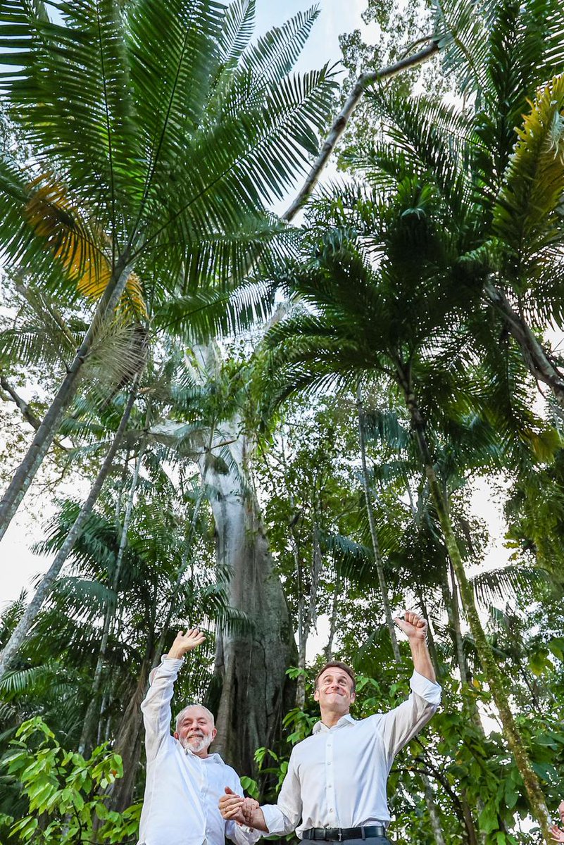 O presidente francês Emmanuel Macron visita o Brasil, começando pelo estado do Pará, onde, junto ao presidente Lula, visitou a Ilha do Combú, uma área de proteção ambiental. Lá, eles conheceram o processo de produção de cacau da comunidade local e se encontraram com lideranças…