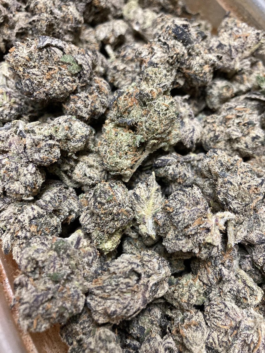 ☀️Вⷡiͥg512cͨaͣᴛⷮ☀️ tweet media