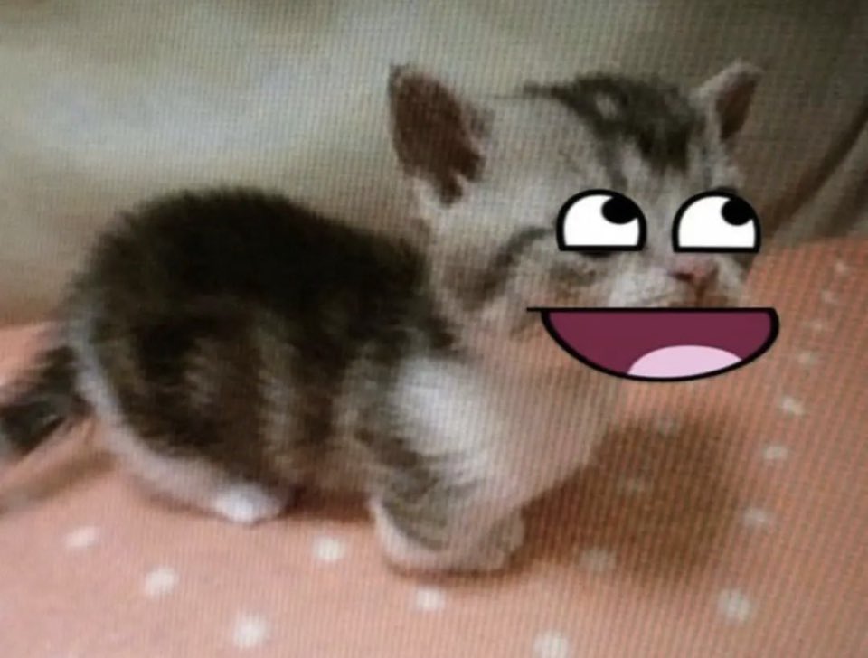 way overdue #edtwt intro

#edtwt intro! 

ʚ stem queen!!
ʚ 18
ʚ pro recovery 
ʚ recovered anorexic but still bulimic/ednos 
ʚ caribbean latina :3
ʚ new to edtwt!
ʚ 5’5 
ʚ she/her
ʚ antifatphobia!
ʚ looking to make mutuals :3

i used on of my moots intro as a template but hiii!