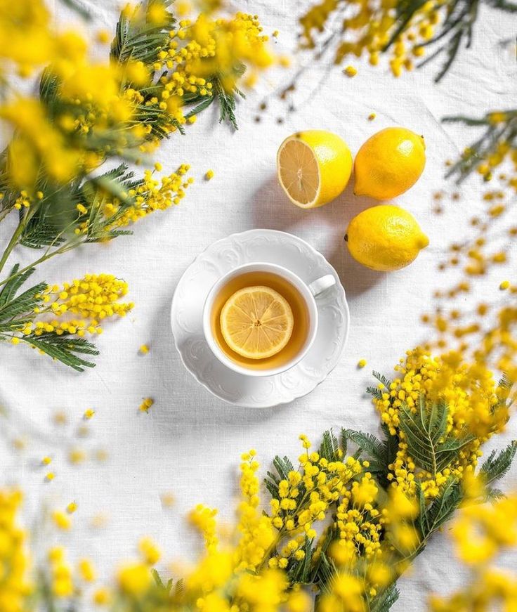 다모아일칠 (@datkomoa17) on Twitter photo 