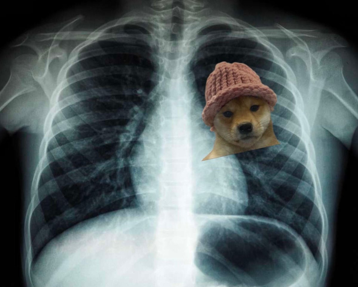 hey_wallet's tweet photo. We got that dog in us. 

#heywallet send .00420 WIF to the first 100 retweets and degens who jump into this space https://t.co/0LTyArR8kK