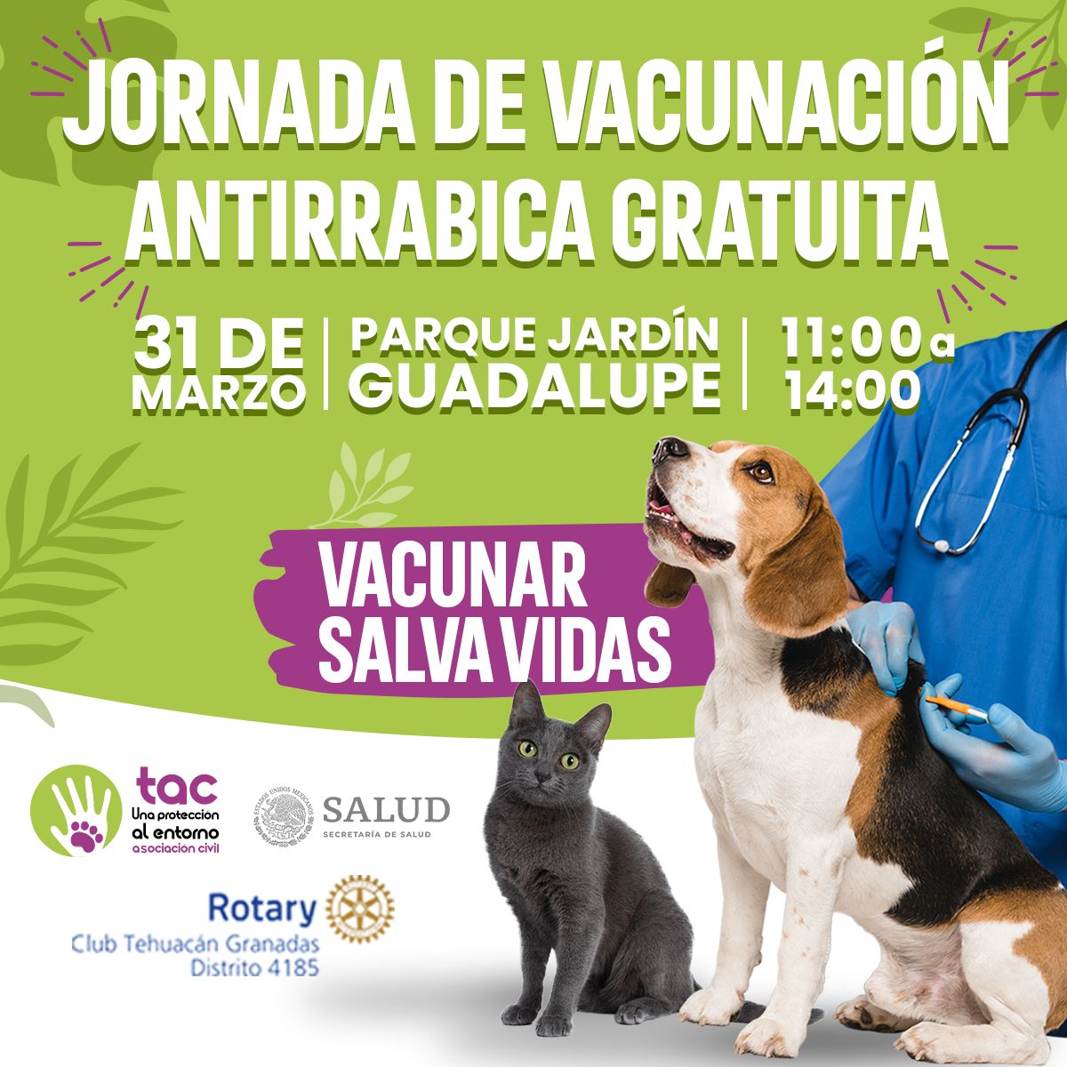 💥🚨ZONA TEHUACAN‼️ 💉Jornada de Vacunación Antirrábica Gratuita Domingo 31 de marzo Parque Jardín Guadalupe Asiste este domingo a vacunar a tu perrito o gatito en horario de 11am a 2pm. ¡Contamos con 500 💉dosis! facebook.com/share/p/kPPw6q…