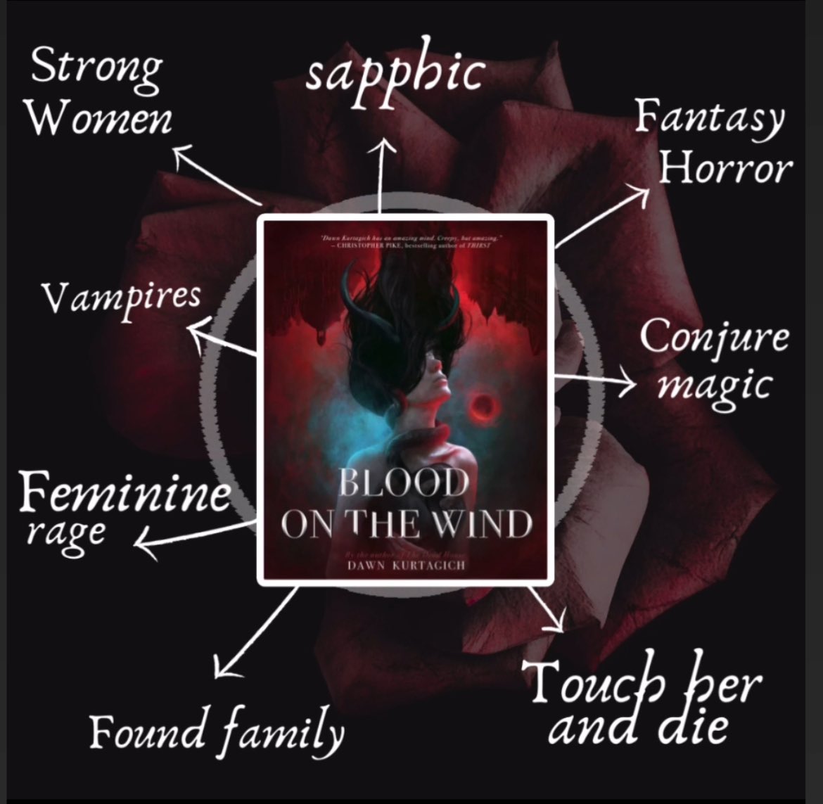 Almost forgot to mention here that it’s BLOOD ON THE WIND’S birthday! 🖤 ❤️ sapphic kisses ❤️ bloodthirsty vampires ❤️ touch her and die vibes (wlw) ❤️ creepy convent Happy birthday, little book!