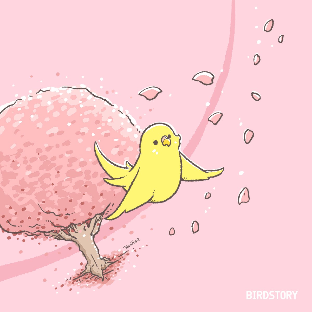 「おはようございます。本日は3月27日、さくらの日とのことです桜満開が待ち遠しい今」|BIRDSTORYのイラスト