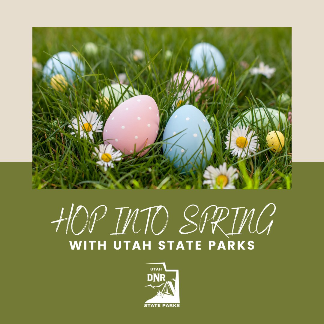 Hop into spring with Utah State Parks! 🌼 Check out our guide below for the best activities, events, and hidden gems waiting for you. You might even encounter a fluffy bunny friend hiding some eggs! 🐰 Your adventure starts here: stateparks.utah.gov/2024/03/26/a-g…
