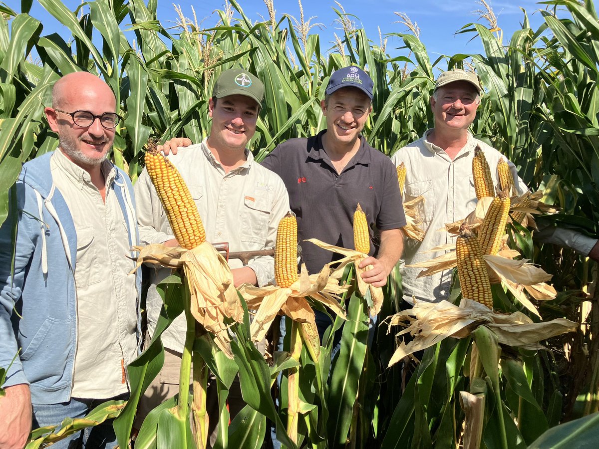 Gonzalo Blanc tweet media