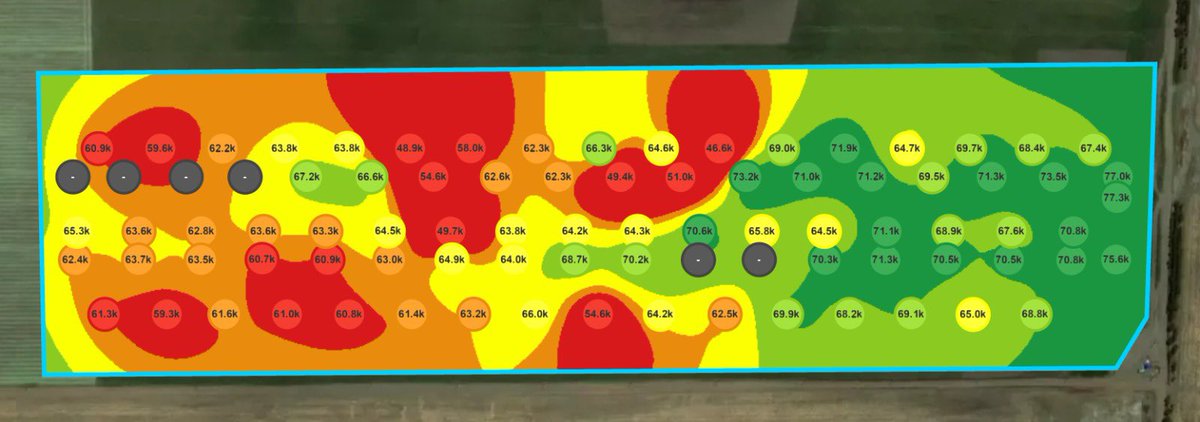 Gonzalo Blanc tweet media