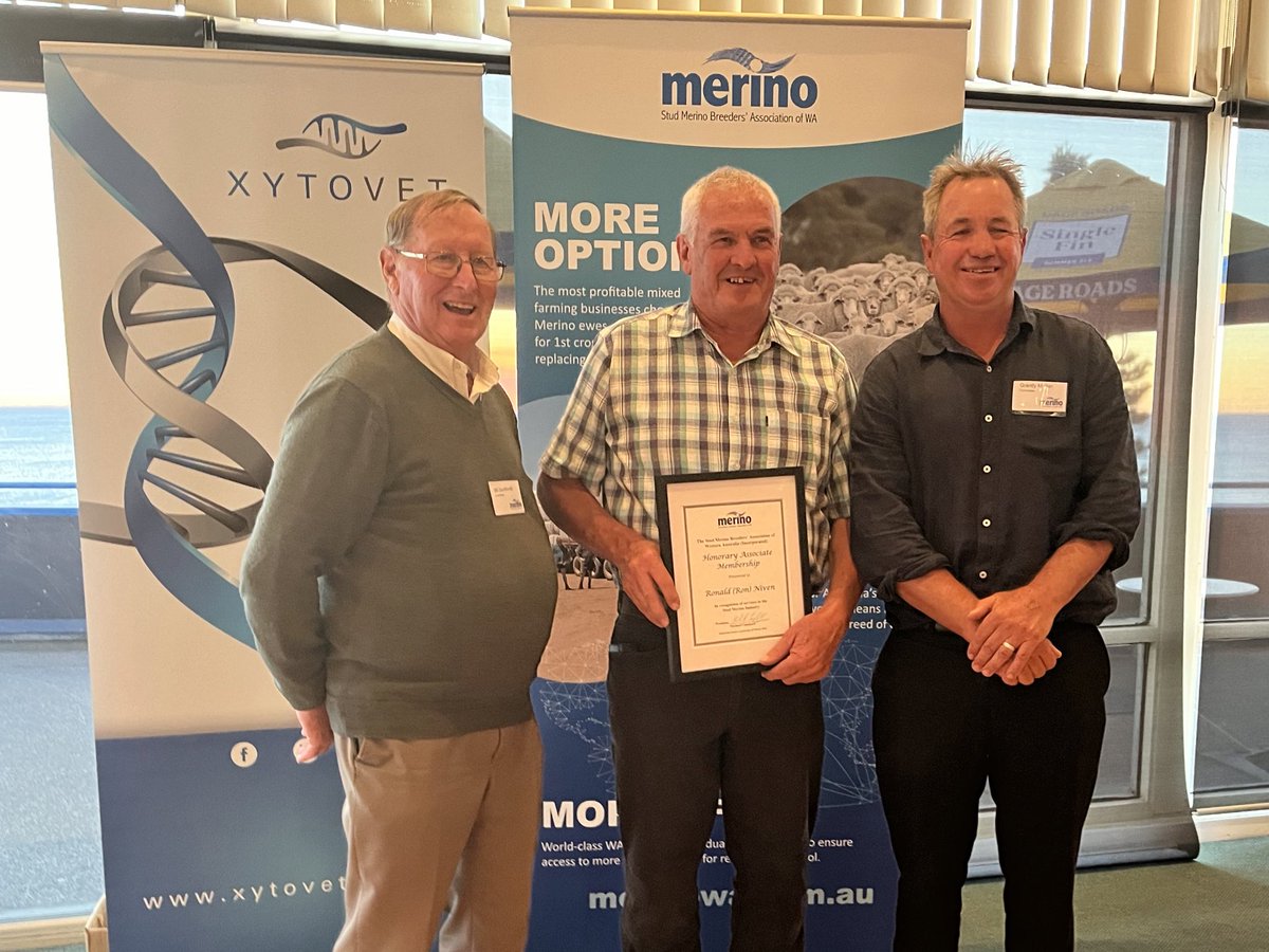 In recognition of service & excellence, a Life M’ship was awarded to Bill Sandilands, Billandri, SMBAWA Committee; Kendenup & Honorary Assoc. M’ship to Ron (Jumbuck) Niven, Shearers Hall of Fame Inductee; Manjimup, for their dedication to WA Merinos. Congrats & thank you 👏