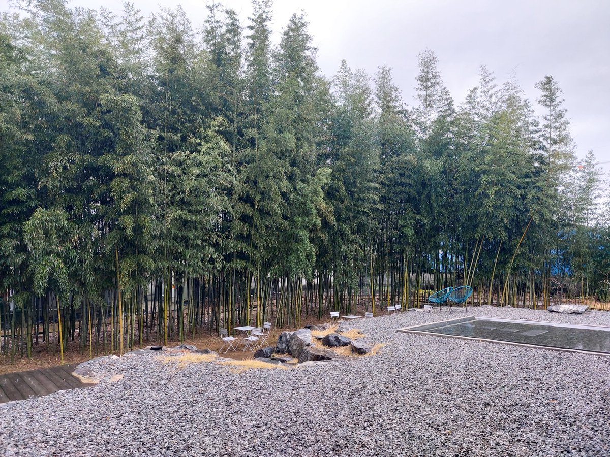 담양 어느카페에 앉자 엄마와의 추억을 빗소리와함께 같이했다
울엄마 대나무숲 참 좋아했는데