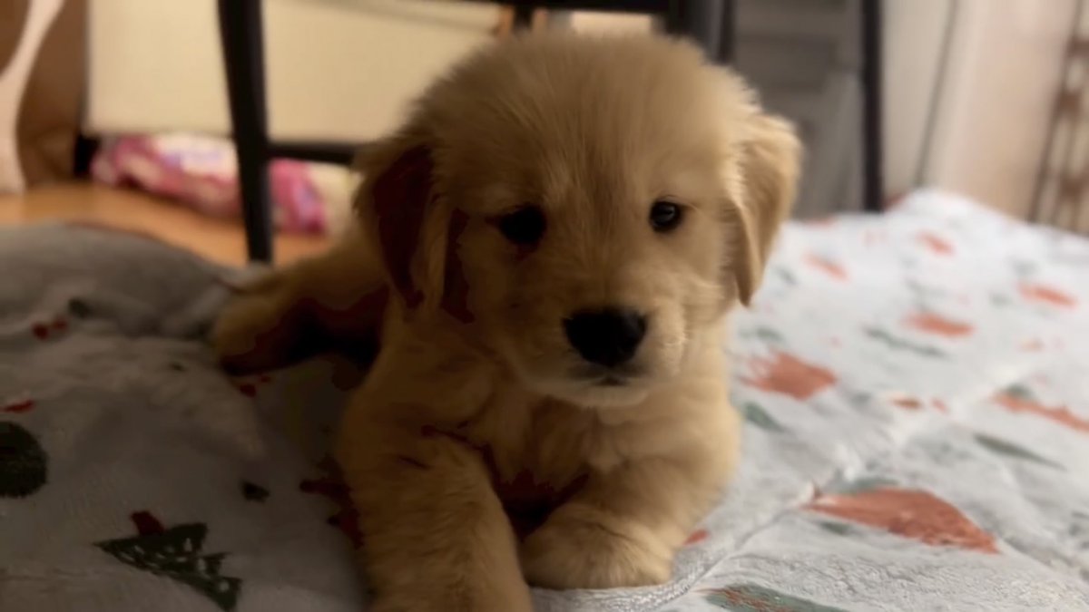 takemybear 🐶 tweet media