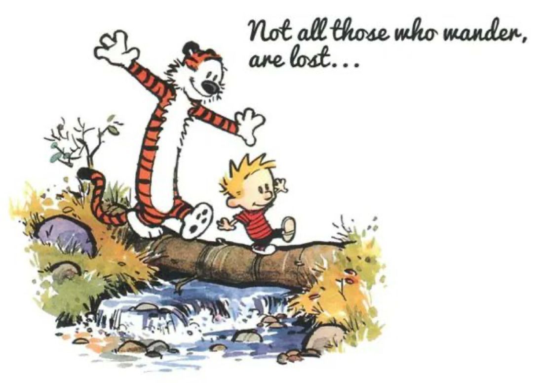 I love this 🙌🏻 #CalvinandHobbes