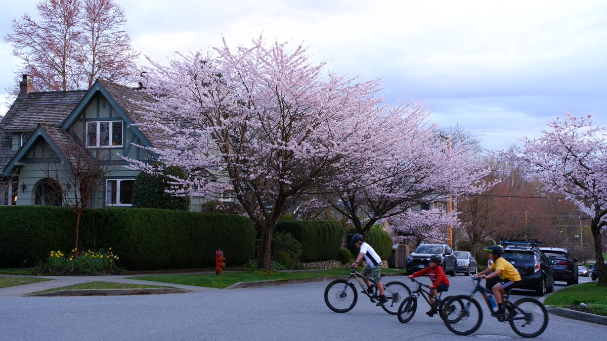 Glorious spring evening in Vancouver