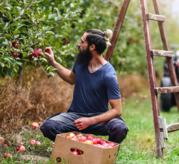 Hort Innovation is pleased to partner with the Primary Industries Education Foundation Australia (PIEFA) on the Apples All Year Round initiative!

Learn more about the initiative here: shorturl.at/fxFT8