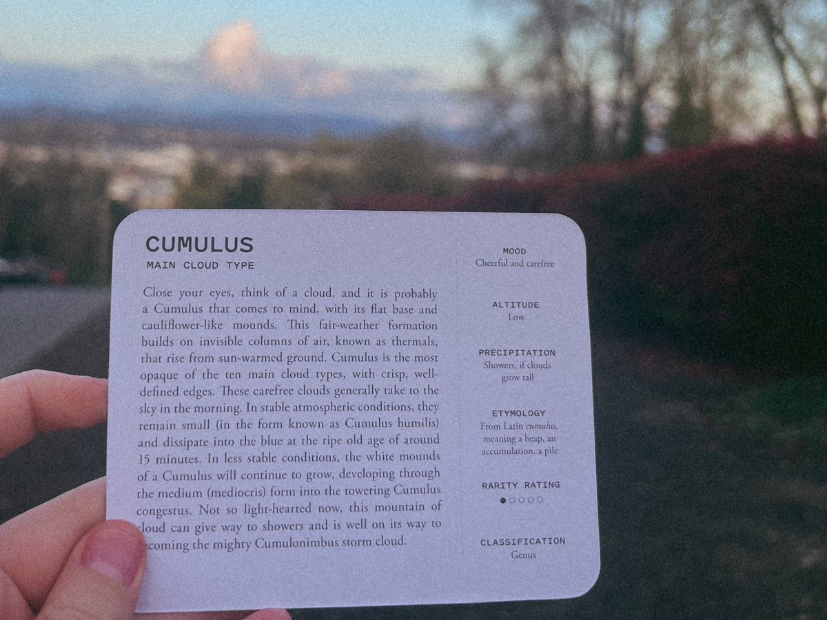 ☁️ keep looking up ☁️