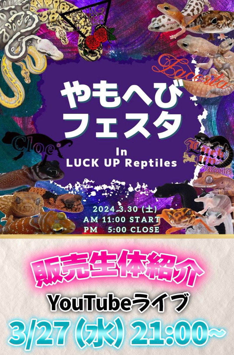 ◤--🐍𝗦𝗪𝗔𝗚 𝗡𝗘𝗪𝗦🌹--◢ 今夜𝟮𝟭:𝟬𝟬~𝗬𝗼𝘂𝗧𝘂𝗯𝗲ライブ💪🏻😎 𝟯/𝟯𝟬(土)𝗟𝗨𝗖𝗞 𝗨𝗣様にて開催🔥 やもへびフェスタでの 販売生体紹介ライブです🤫❤️‍🔥❤️‍🔥 新入荷の子を沢山連れていきます✨ 是非お楽しみください👀✨✨ 配信ページはコチラ⬇️ ◤youtube.com/live/OWE76O-w_…◢