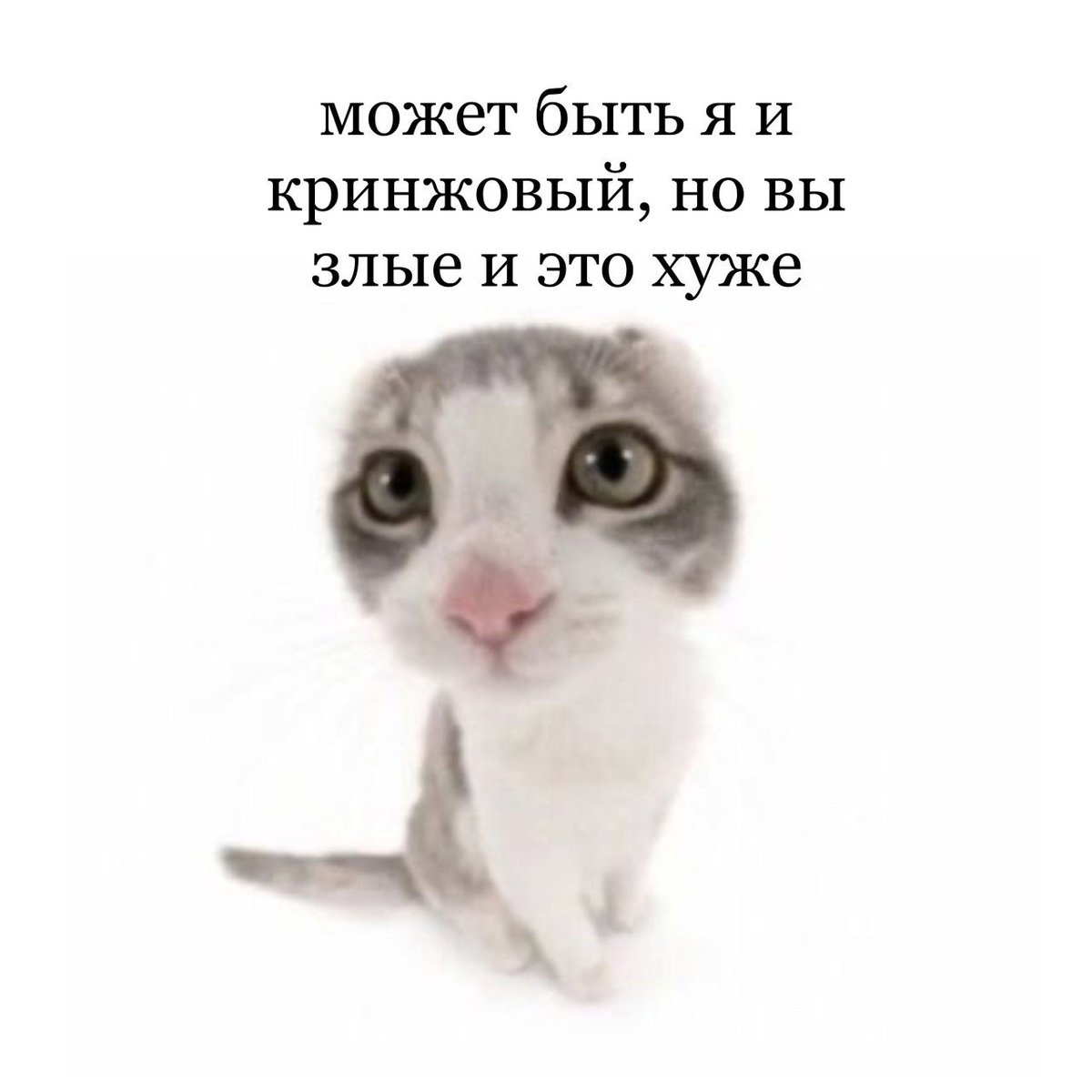 catsilcats's tweet photo. https://t.co/uQv4K2Z2Y2