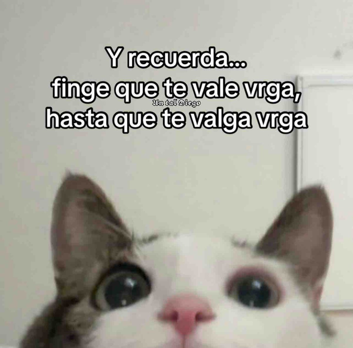 Y recuerda…
