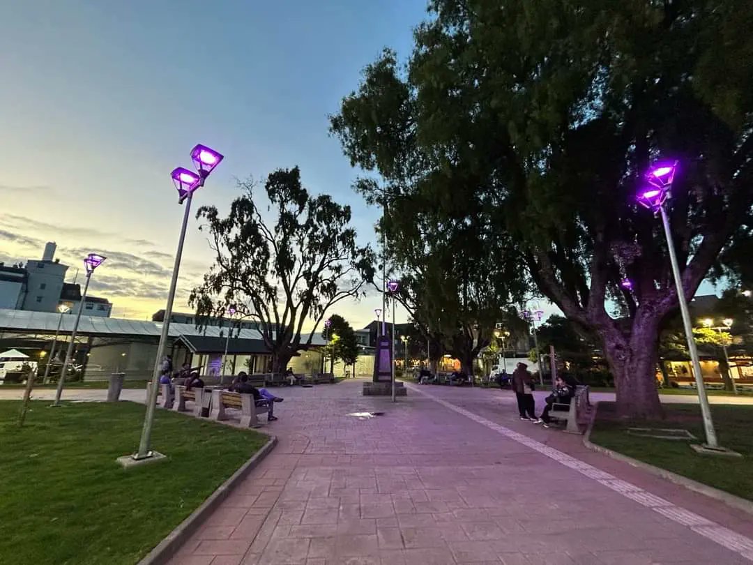 Este 26 de marzo distintos puntos en regiones se tiñeron de púrpura 💜

Muchas gracias por el apoyo y por regalarnos estas hermosas postales <a href="/muni_chillan/">MunicipalidadChillán</a> <a href="/udeconcepcion/">Universidad de Concepción</a> <a href="/copiapomuni/">MunicipalidadCopiapo</a> <a href="/munipuertovaras/">Mun. Puerto Varas</a>

#Epilepsia #purpleday #ligaepilepsia #díapúrpura #26demarzo #díapúrpura