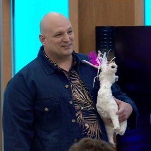 gh_trivia's tweet photo. ¿A QUIEN BANCAS VOS? 

🔁 ALFA 

❤️ BIG ARI 

#GranHermano https://t.co/7pfpMdZyfP