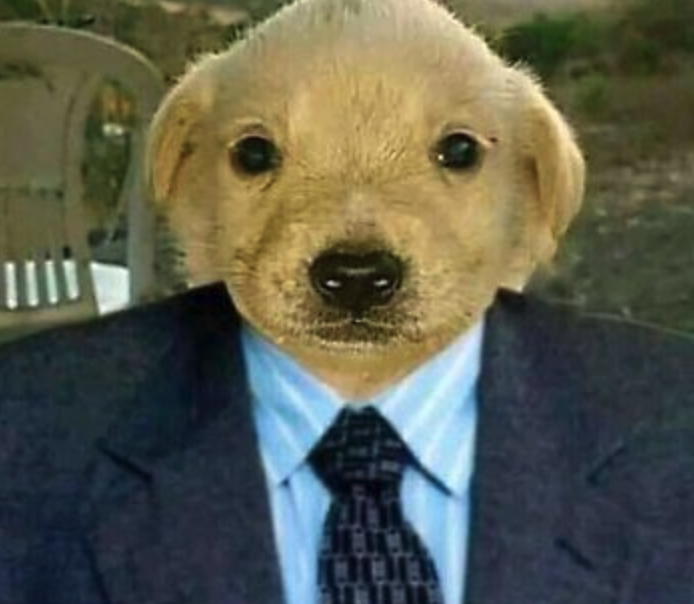 KeatonInglis's tweet image. If you like: stocks, investing, finance, crypto, memes, etc. and want to get paid to make content pls DM

requirements: must know bangers