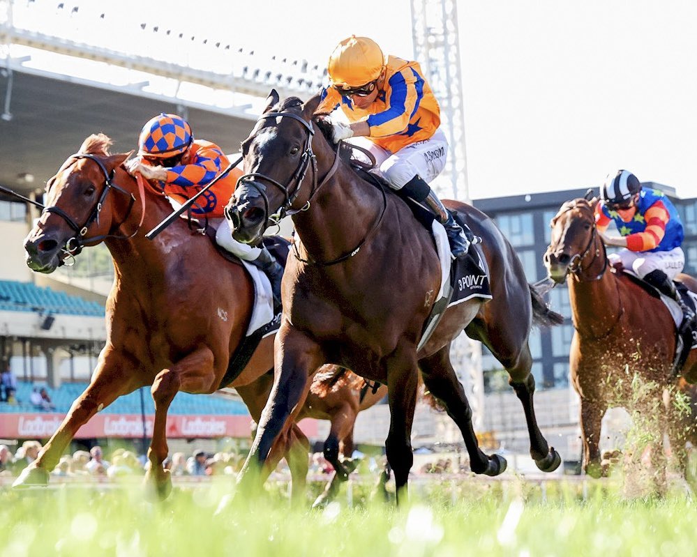 Bhima Thoroughbreds (@bhimatbreds) on Twitter photo 🟣 Bhima graduate Imperatriz became just the 12th horse of the modern era to reach double figures in G1 wins when stretching her unblemished <a href="/TheValley/">Moonee Valley Racing Club</a> record to five in Saturday’s William Reid S. for <a href="/TeAkauRacing/">Te Akau Racing</a> 🏆
Read more in <a href="/TTRAusNZ/">TTR AusNZ</a>: ttrausnz.com.au/edition/2024-0… 🟣 Bhima graduate Imperatriz became just the 12th horse of the modern era to reach double figures in G1 wins when stretching her unblemished <a href="/TheValley/">Moonee Valley Racing Club</a> record to five in Saturday’s William Reid S. for <a href="/TeAkauRacing/">Te Akau Racing</a> 🏆
Read more in <a href="/TTRAusNZ/">TTR AusNZ</a>: ttrausnz.com.au/edition/2024-0…