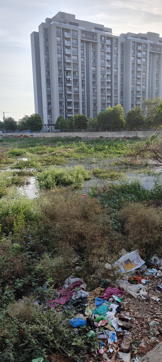 Deep Vora tweet media