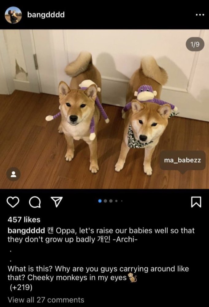 canwifhat's tweet photo. two cute dogs.

two cute hats. 

brother &amp; sister. 

$CAN &amp; $WIF at the top together.

the crab stays on🦀 https://t.co/mzj4BP26kv