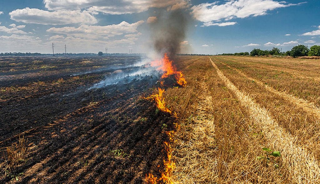 What are the effects of crop residue burning? 
How baler machines are helpful in managing stubble.
🧵🧵

Harvesting diverse crops produces a vast number of residues, both on and off the farm. 

Cereals are the most residue-producing crops, followed by fibres, oilseeds, pulses,…