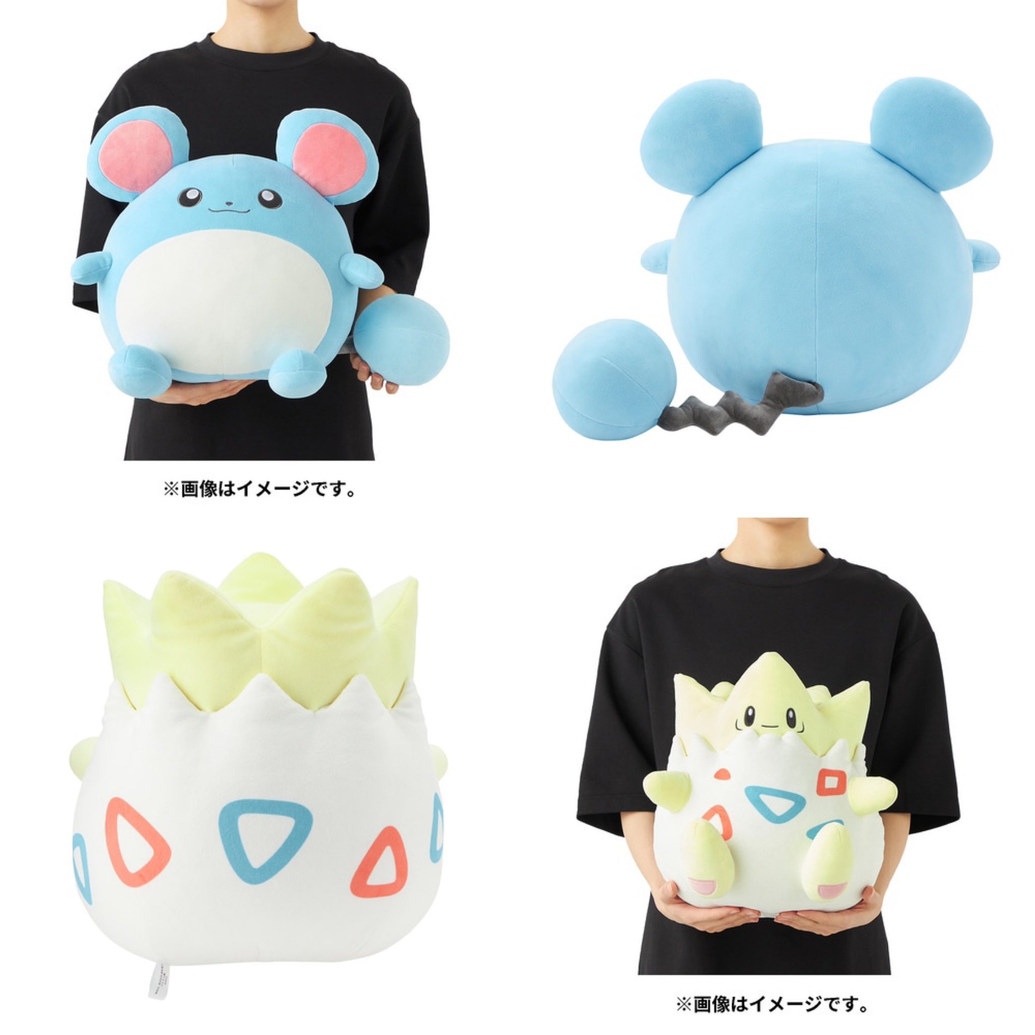 ポケモンセンターNAKAYAMA on X: ポケモンセンターNAKAYAMA on X: