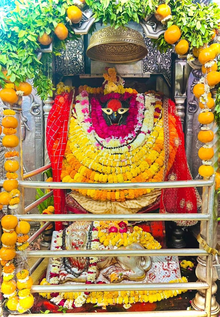 MMantumishra7's tweet photo. आज दिनांक 27/3/2024 बुधवार के दिन करिये माँ के मंगला आरती का दिव्य दर्शन
स्मृति में हो माँ विंध्यवासिनी, विस्मृति करि संसार
परम शान्ति भक्ति मिले, जीव होहिं उद्धार🙏
🙏🌹🌺🌹🌺🌹🌺🌹🌺🌹🙏
🙏जय माँ विंध्यवासिनी🙏 https://t.co/DCfd1yQYJf