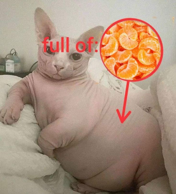 se viene la mejor etapa del año, la etapa de las mandarinas