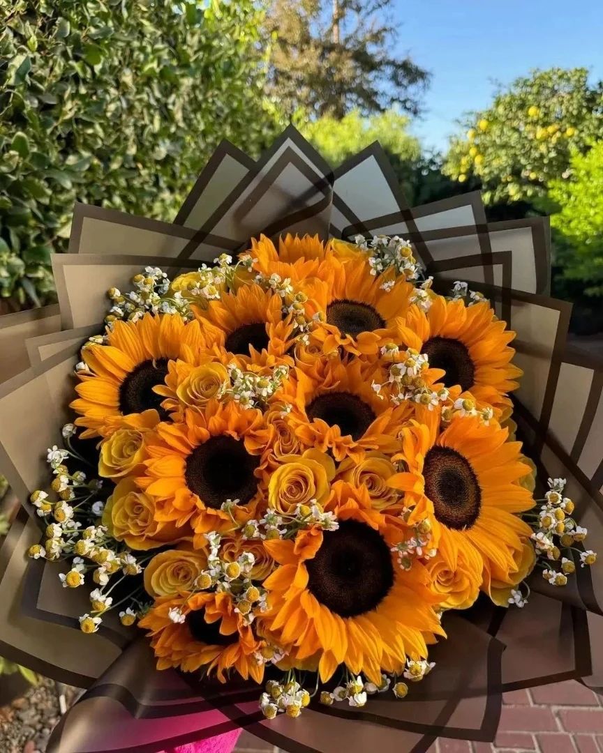 Best combination 🌻💛
#sunflowers2