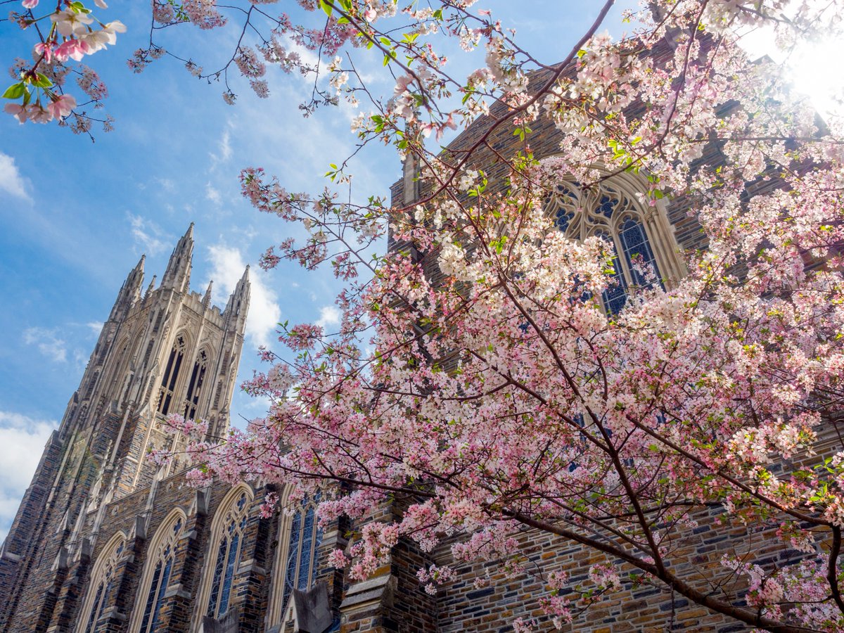📣 Regular Decision applicants will be able to view their admissions decisions online beginning at 7:00 p.m. Eastern Time on Thursday, March 28. 💙 #Duke2028