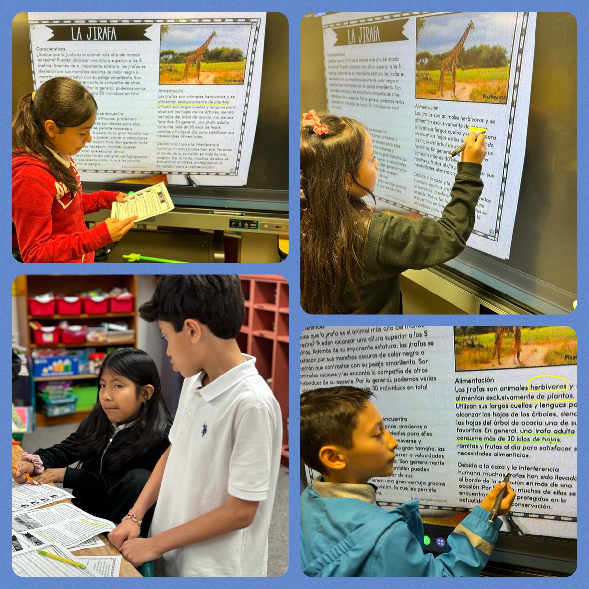 SalyersElemCubs's tweet image. Ms. Villamil, 4th grade Bilingual @SalyersElemCubs engages in a Reading Review for The STAAR Test; Students edit and revise, write Extended Constructive Response,  collaborate, and use the #BenQBoard. @VillamilMaritz #InstructionalTechnology #SpringISDBlendedLearning.…