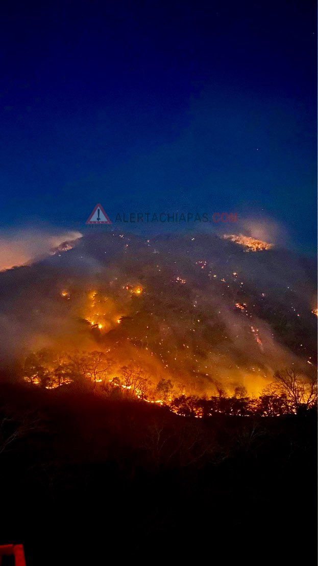 Alerta Chiapas tweet media