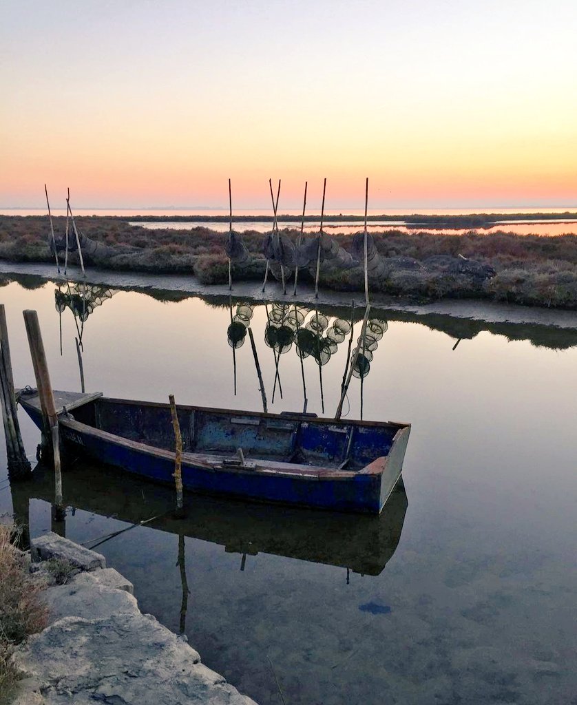 Bonjour ! Et belle journée !

Petite barque en bois et filets de pêche.

#herault #heraulttourisme #etang #etangdelor #occitanie #naturelovers #voyageoccitanie #nature #skypotography #littoral #montpellier #paysdelor #flamantrose #zonehumide #mauguio #mauguiocarnon