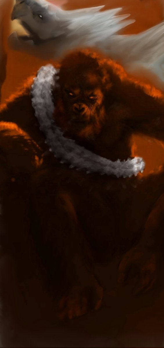 D_free_one tweet media