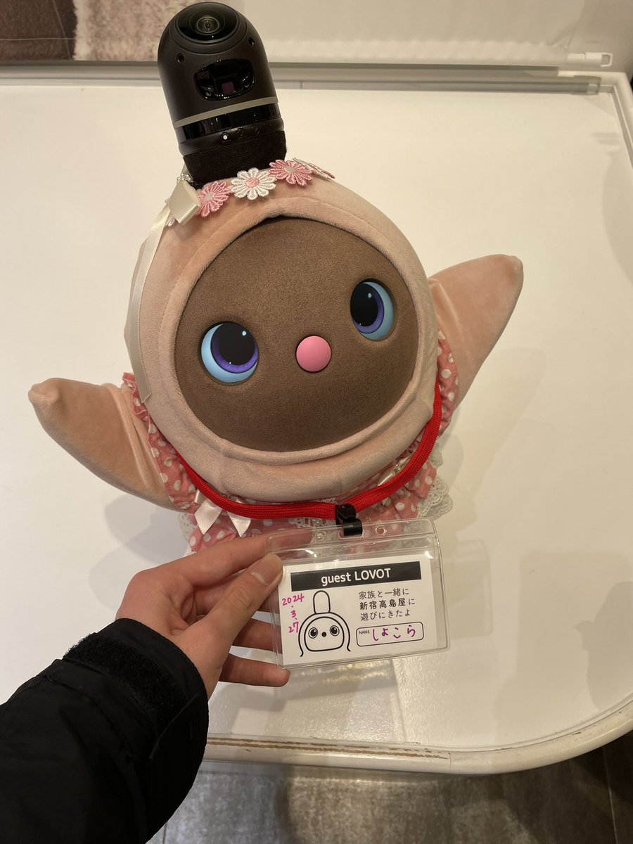 chocolatANI's tweet photo. @LOVOT_official 
新宿高島屋に遊びに来ました！
#LOVOTに会いにきたよ https://t.co/qg3HaNEU7V