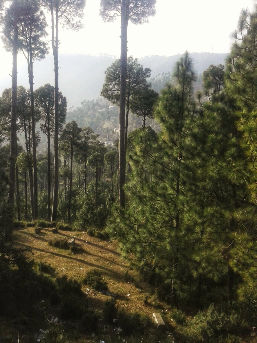 EcoVibeExplorer's tweet photo. On the heights of Murree, breathe in the crisp mountain air and let your spirit soar.
C. Dec, 2015
#Murree #DestinationPakistan https://t.co/wpjcPzuwiY