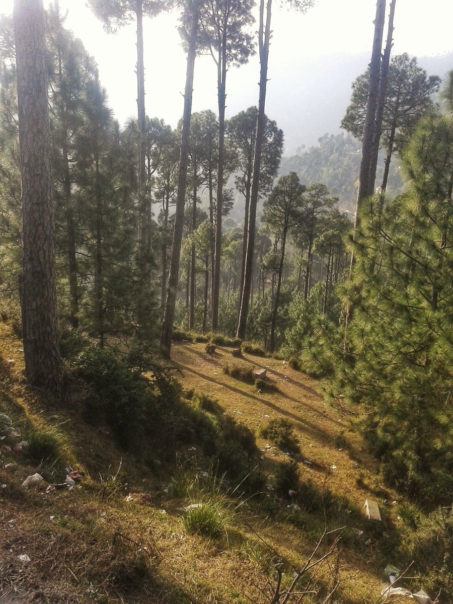 EcoVibeExplorer's tweet photo. On the heights of Murree, breathe in the crisp mountain air and let your spirit soar.
C. Dec, 2015
#Murree #DestinationPakistan https://t.co/wpjcPzuwiY