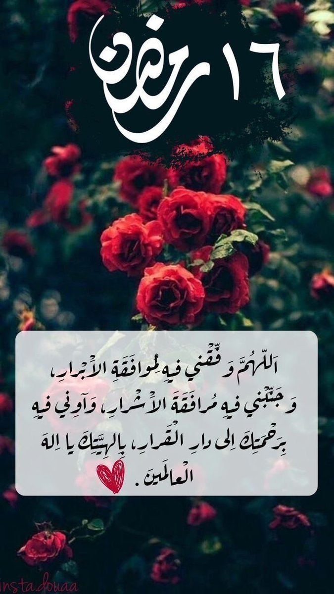 saeedalfarsi's tweet photo. https://t.co/mQwhtPA2K5