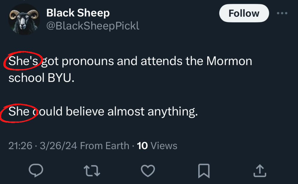 Don’t you just hate it when people have pronouns? Lol