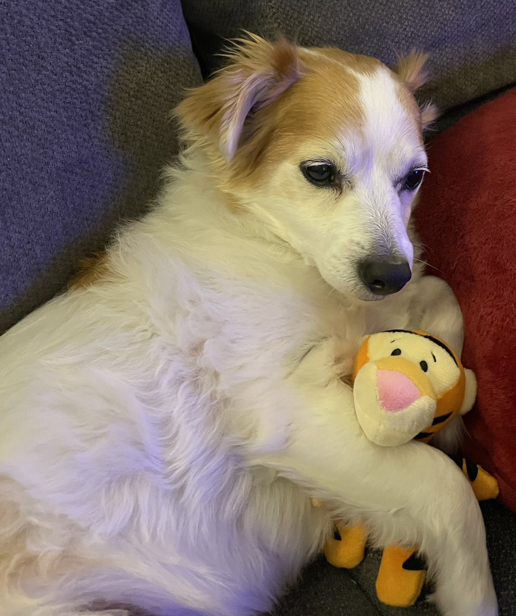 It’s bedtime. I have a new-ish Tigger toy who is my couch sleep buddy.