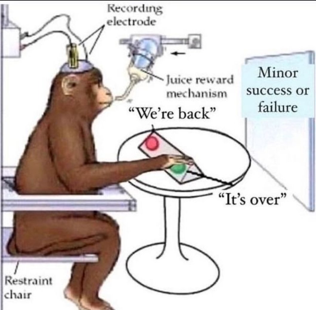 Fariz Rahman (@farizrahman4u) on Twitter photo 