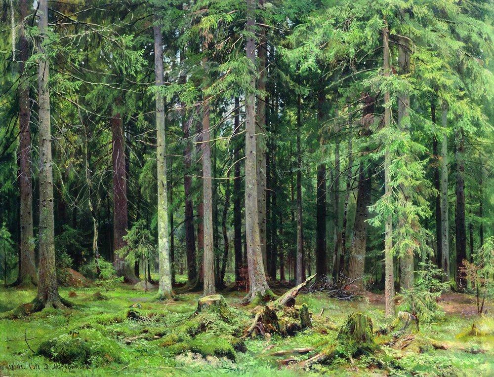 Forest in Mordvinovo wikiart.org/en/ivan-shishk…